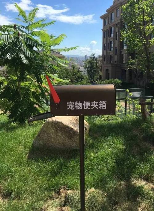 苏州源著的夏天是这样的